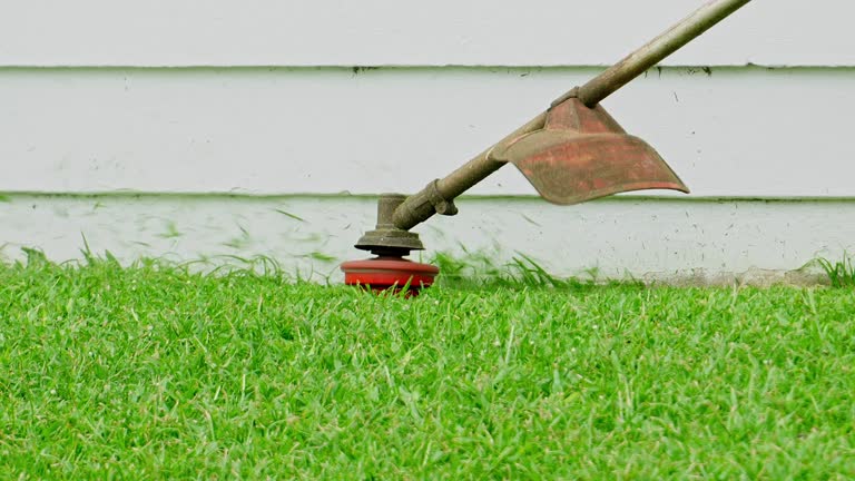 Best Sod Installation  in Stanton, TX